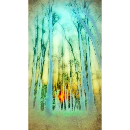 Winter sun peeks through tall bare trees with hues of blue, green and yellow in this artwork titled Aurora by Jessica St. Clair
