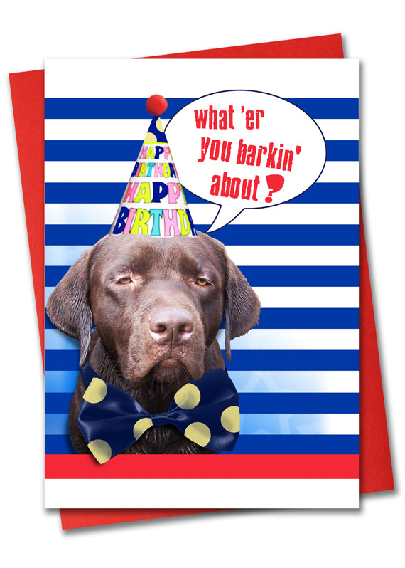 Image of Bark Remarks What Er You Barkin About birthday card front by Jessica St. Clair