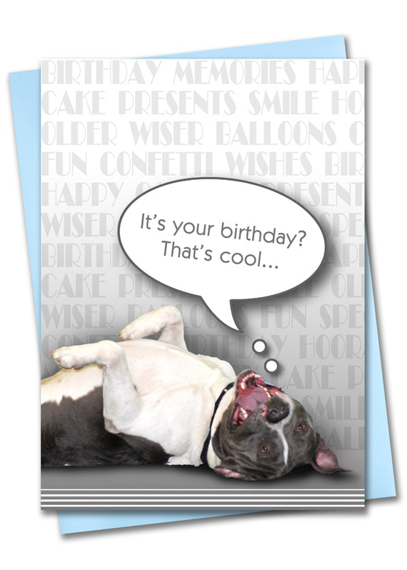 Image of Bark Remarks Belly Rubs for Everyone birthday card front by Jessica St. Clair