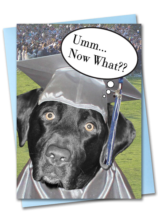 Image of Bark Remarks Big Dogs Grad congratulations card front by Jessica St. Clair