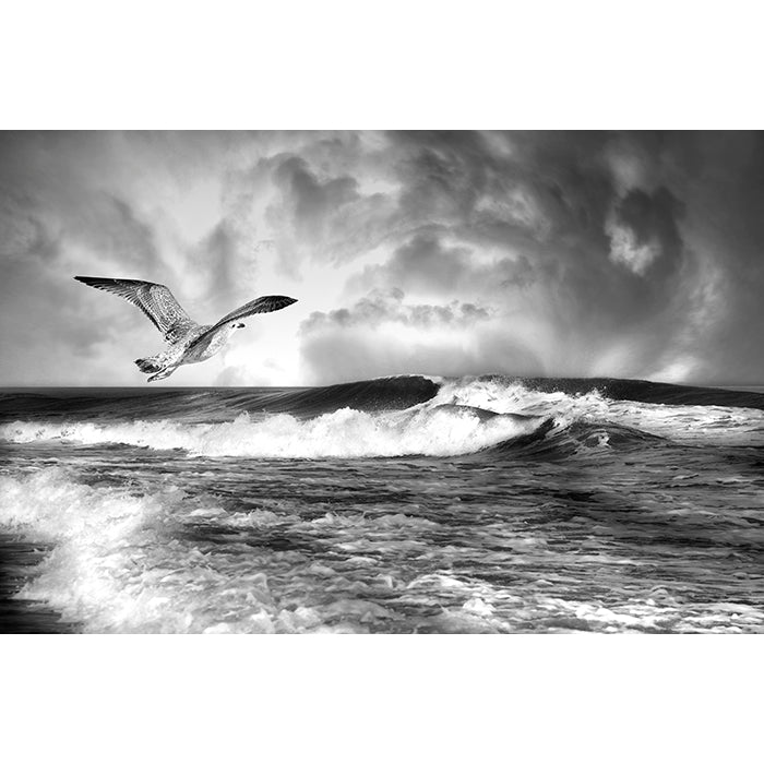 Image of Glide the Swirl black and white photographic artwork by Jessica St. Clair depicting a sea gull gliding over crashing waves and a swirling stormy sky