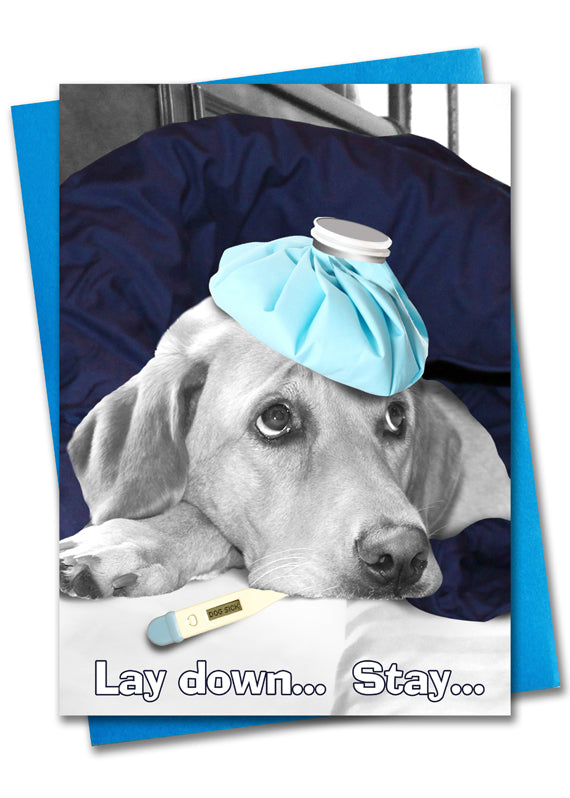 Image of Lay Down, Stay, Get Well card front by Jessica St. Clair