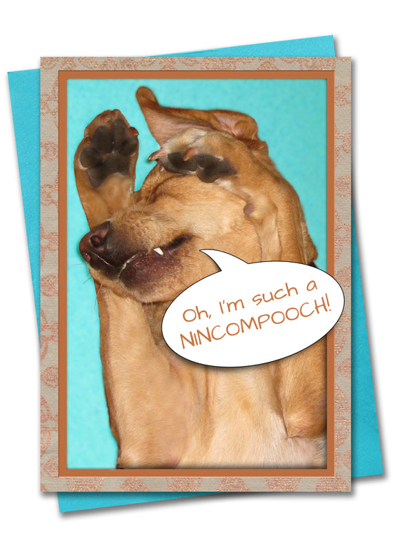 Image of Bark Remarks Nincompooch I'm Sorry card front by Jessica St. Clair