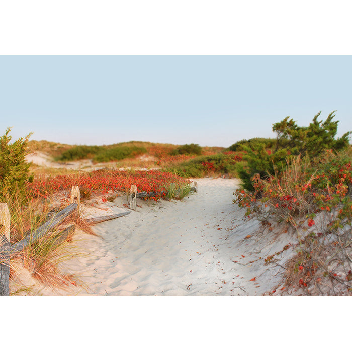 Image of Transition to Autumn mixed media artwork by Jessica St. Clair of a fall beach scene with a sandy path through the dunes lined with leaves turning red