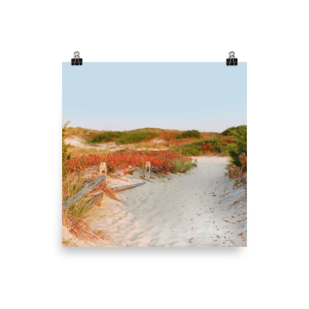 Image of Transition to Autumn mixed media art print on 12 inch by 12 inch enhanced matte photo paper by Jessica St. Clair depicting a fall beach scene with a sandy path through the dunes lined with leaves turning red