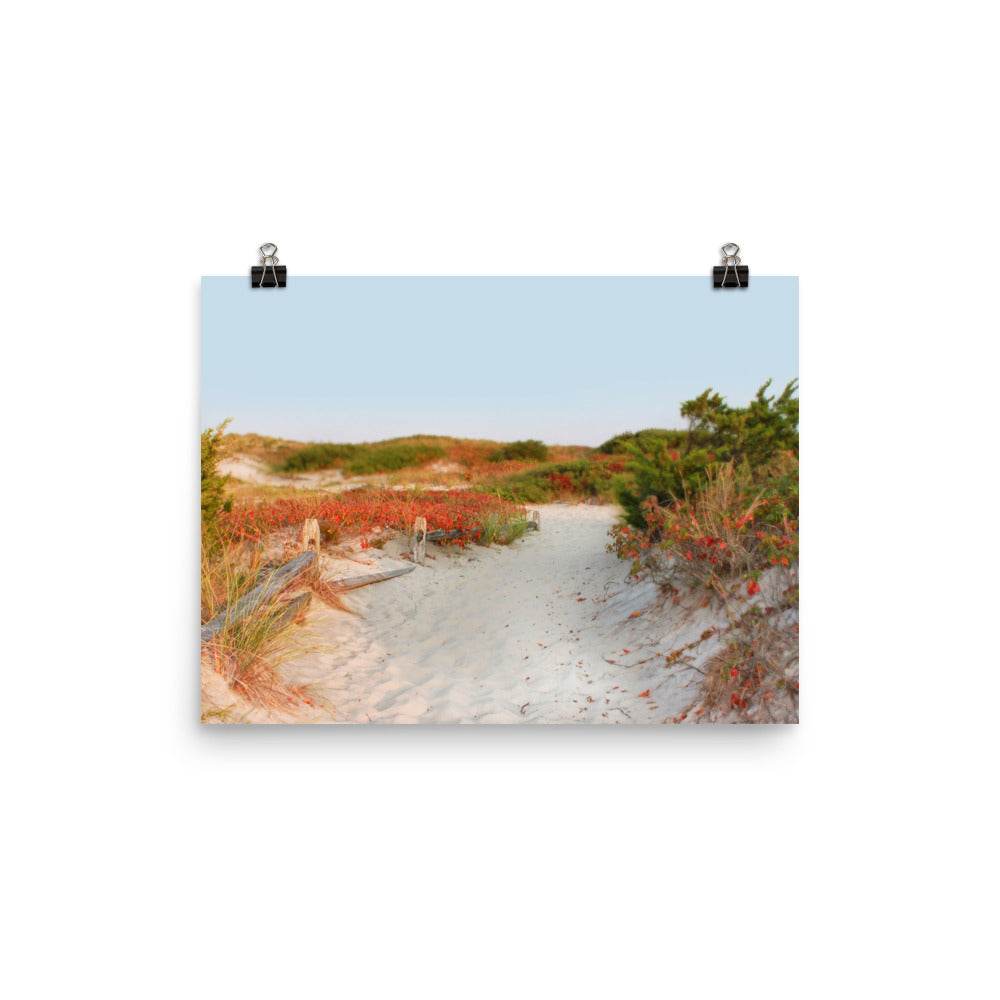 Image of Transition to Autumn mixed media art print on 12 inch by 16 inch enhanced matte photo paper by Jessica St. Clair depicting a fall beach scene with a sandy path through the dunes lined with leaves turning red