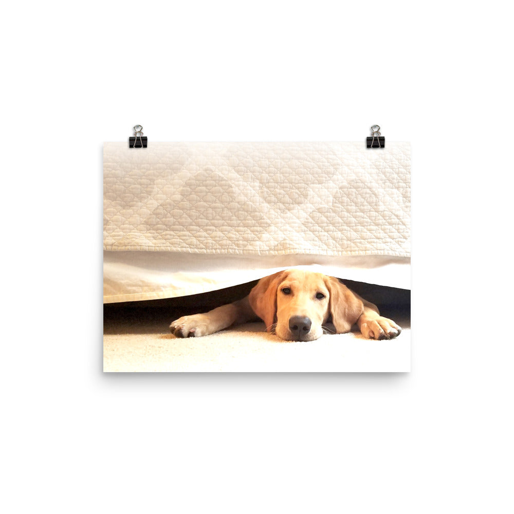 Image of Bed Time photographic art print on 12 inch by 16 inch enhanced matte photo paper by Jessica St. Clair featuring a sleepy puppy under bed covers