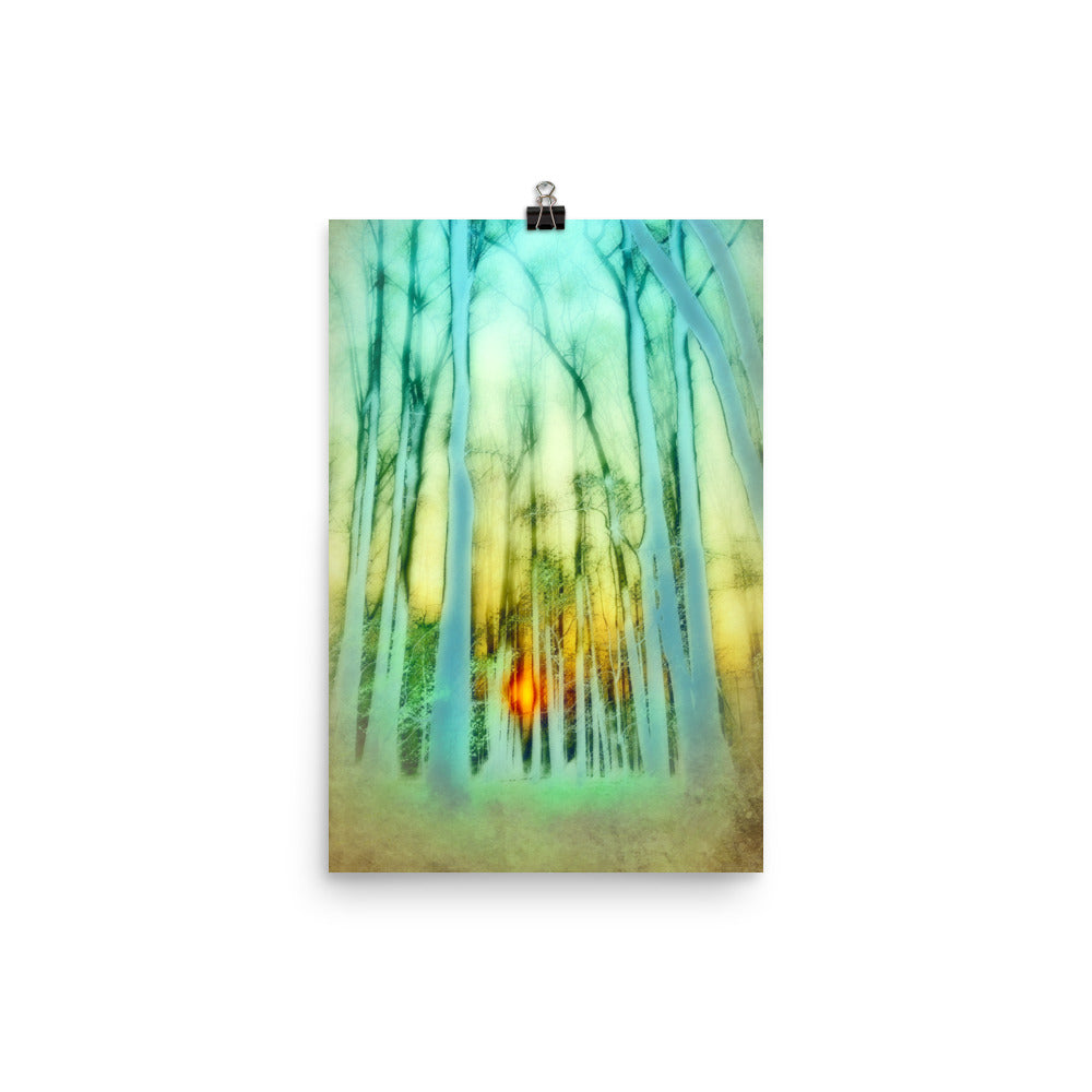Winter sun peeks through tall bare trees with hues of blue, green and yellow in this 12 inch by 18 inch art print titled Aurora 