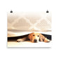 Image of Bed Time photographic art print on 16 inch by 20 inch enhanced matte photo paper by Jessica St. Clair featuring a sleepy puppy under bed covers