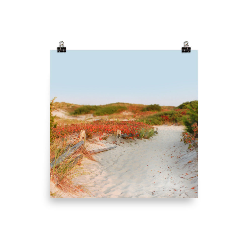 Image of Transition to Autumn mixed media art print on 18 inch by 18 inch enhanced matte photo paper by Jessica St. Clair depicting a fall beach scene with a sandy path through the dunes lined with leaves turning red