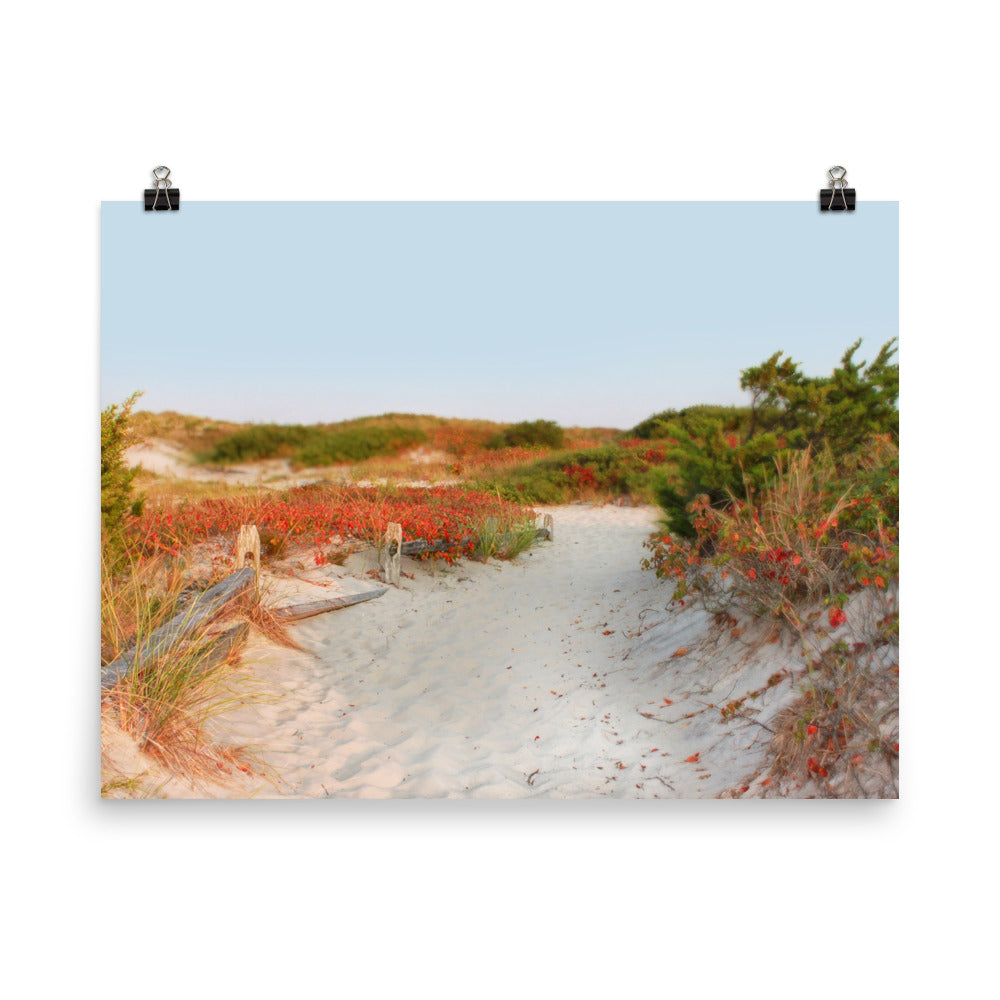 Image of Transition to Autumn mixed media art print on 18 inch by 24 inch enhanced matte photo paper by Jessica St. Clair depicting a fall beach scene with a sandy path through the dunes lined with leaves turning red