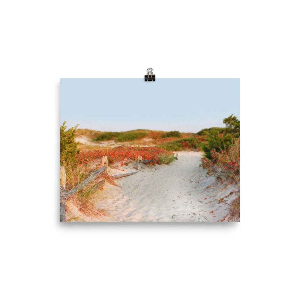 Image of Transition to Autumn mixed media art print on 8 inch by 10 inch enhanced matte photo paper by Jessica St. Clair depicting a fall beach scene with a sandy path through the dunes lined with leaves turning red