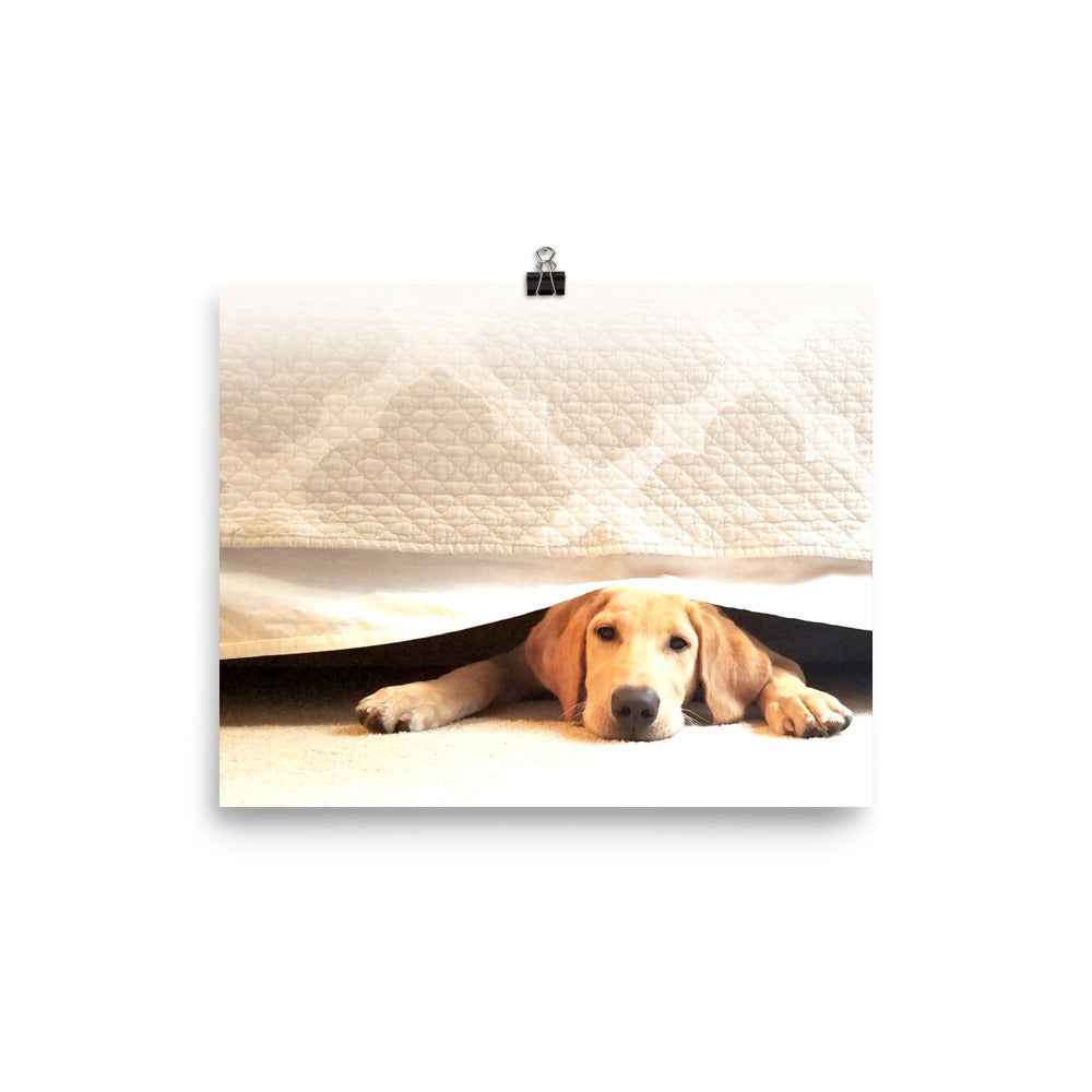 Image of Bed Time photographic art print on 8 inch by 10 inch enhanced matte photo paper by Jessica St. Clair featuring a sleepy puppy under bed covers
