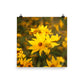 Image of Wildflower Waltz floral art print on 10" x 10" premium luster photo paper by Jessica St. Clair