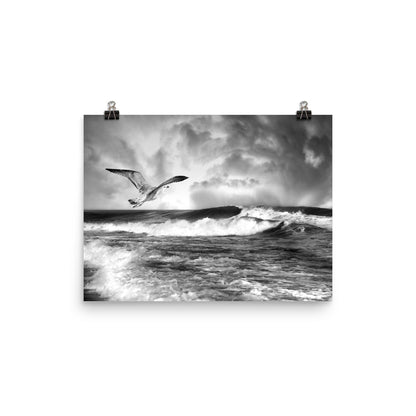 Image of Glide the Swirl black and white photographic artwork by Jessica St. Clair on 12 inch by 16 inch premium luster photo paper depicting a sea gull gliding over crashing waves and a swirling stormy sky