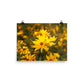 Image of Wildflower Waltz floral art print on 12" x 16" premium luster photo paper by Jessica St. Clair
