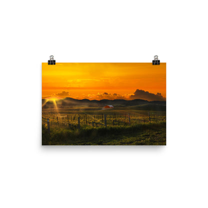 Image of a fiery sky over Napa Valley at sunset 12 inch by 18 inch art print