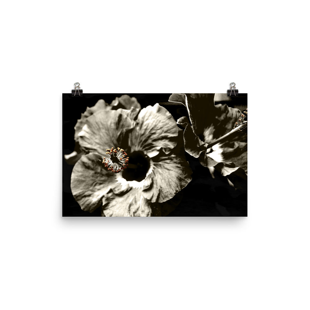 Image of Bohemian Night photographic art print on 12 inch by 18 inch premium luster photo paper by Jessica St. Clair featuring warm sepia tone hibiscus flowers