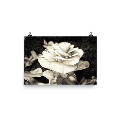 Image of Petals and Lace mixed media sepia tone floral art print on 12 inch by 18 inch premium luster photo paper by Jessica St. Clair