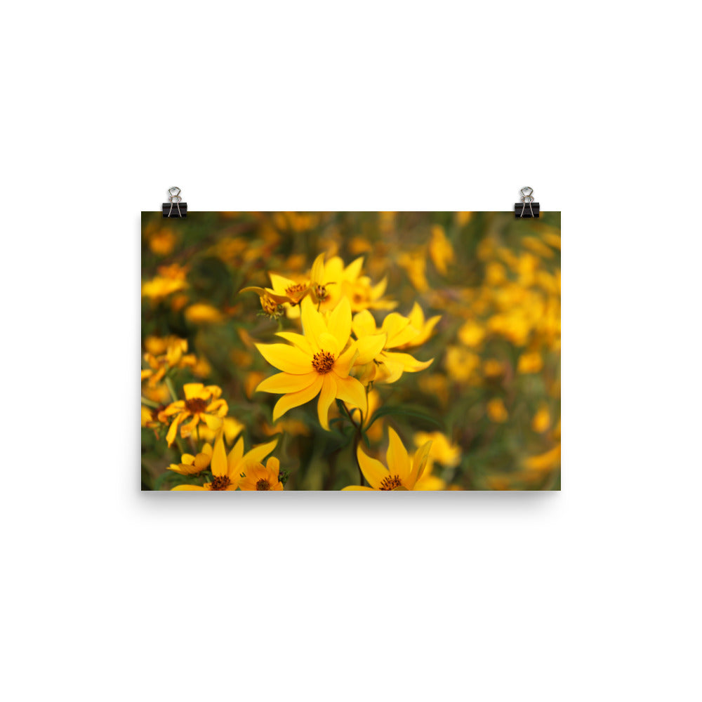 Image of Wildflower Waltz floral art print on 12" x 18" premium luster photo paper by Jessica St. Clair