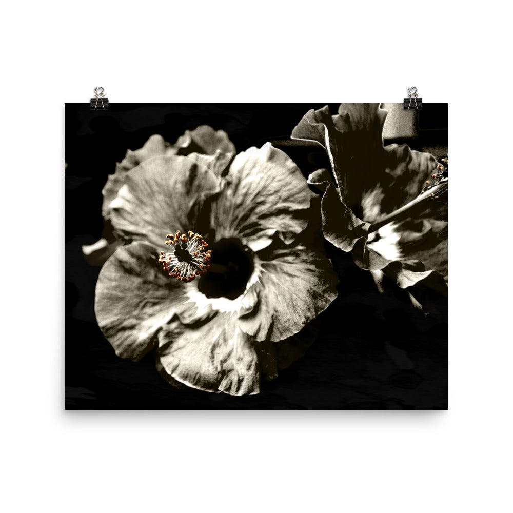 Image of Bohemian Night photographic art print on 16 inch by 20 inch premium luster photo paper by Jessica St. Clair featuring warm sepia tone hibiscus flowers
