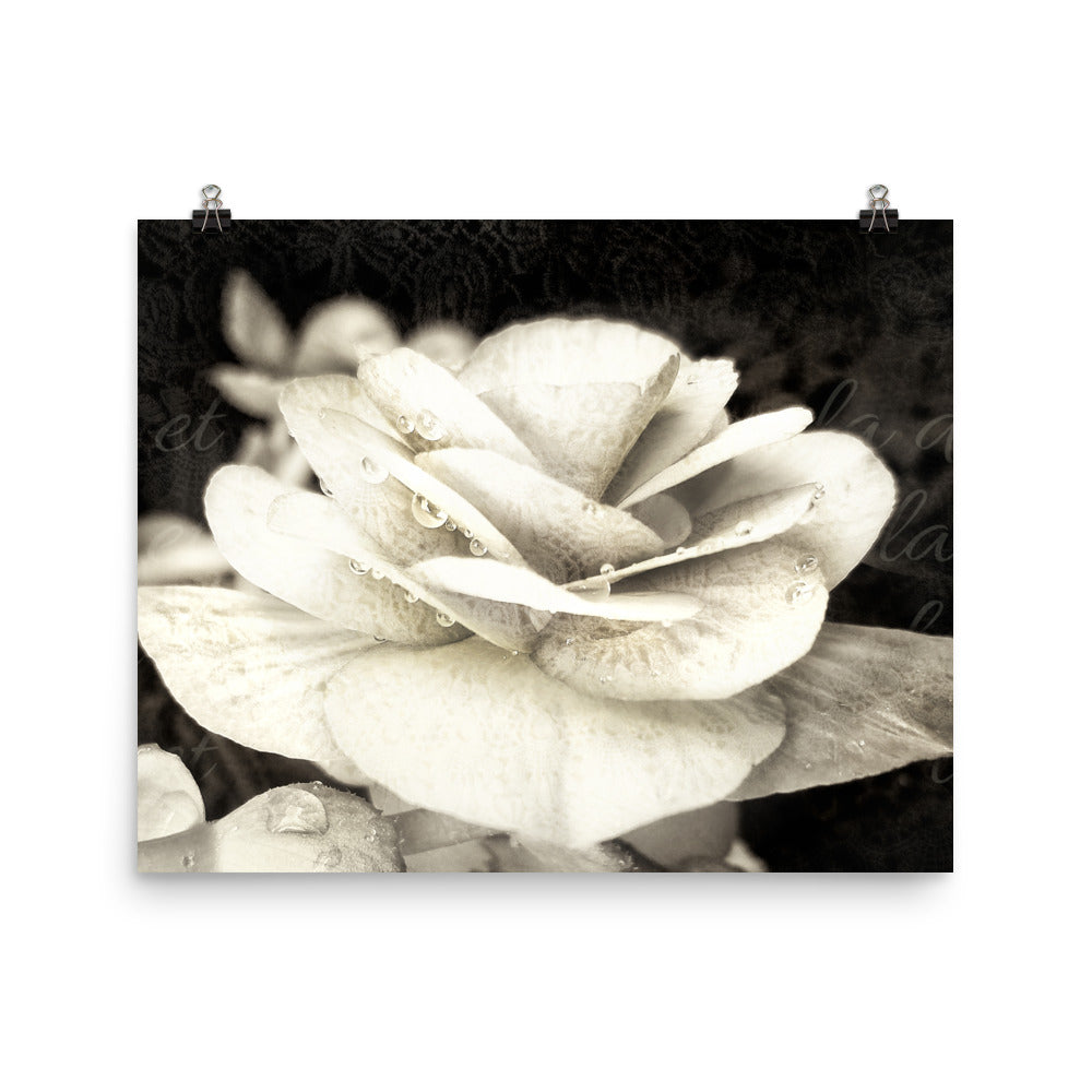 Image of Petals and Lace mixed media sepia tone floral art print on 16 inch by 20 inch premium luster photo paper by Jessica St. Clair