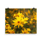 Image of Wildflower Waltz floral art print on 16" x 20" premium luster photo paper by Jessica St. Clair