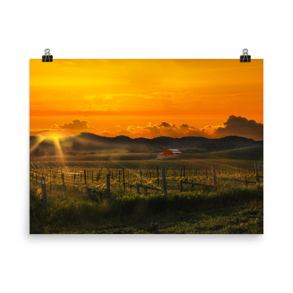Image of a fiery sky over Napa Valley at sunset 18 inch by 24 inch art print