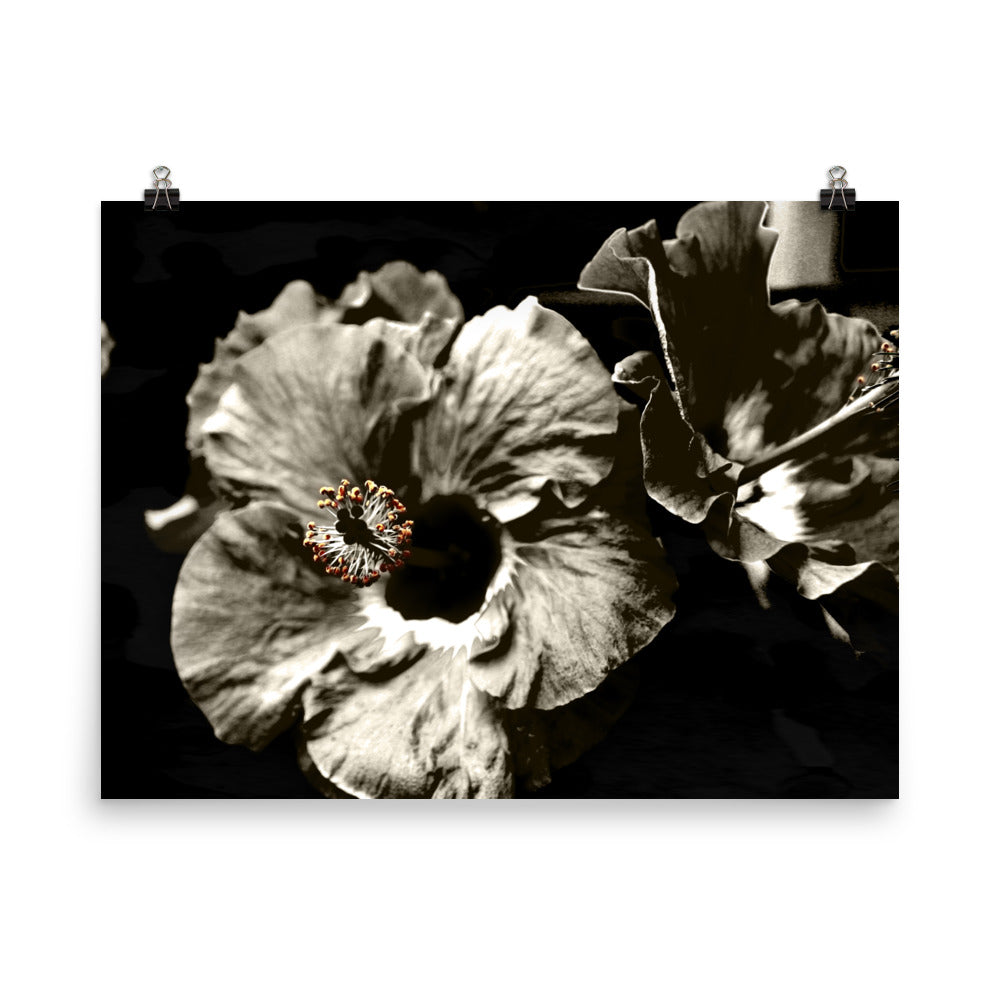 Image of Bohemian Night photographic art print on 18 inch by 24 inch premium luster photo paper by Jessica St. Clair featuring warm sepia tone hibiscus flowers