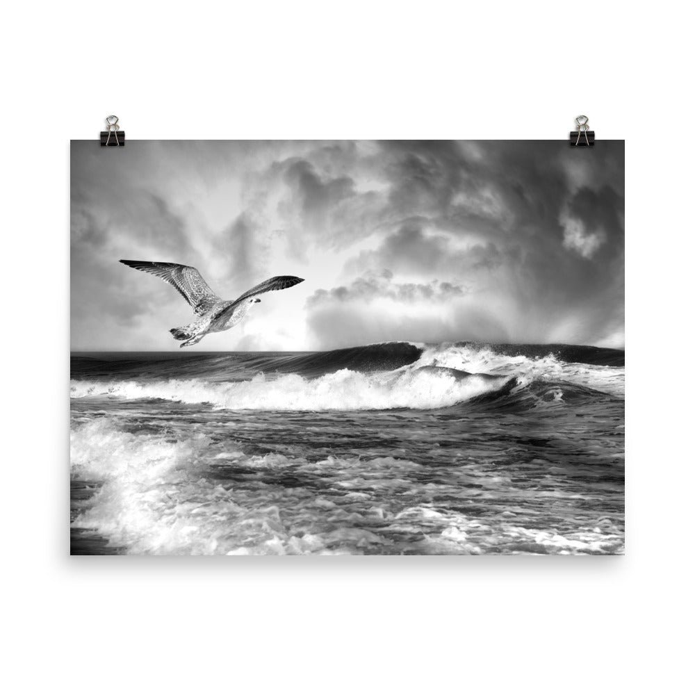 Image of Glide the Swirl black and white photographic artwork by Jessica St. Clair on 18 inch by 24 inch premium luster photo paper depicting a sea gull gliding over crashing waves and a swirling stormy sky