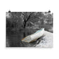 Image of 18 inch by 24 inch art print titled Ashore with a small row boat left at the water's edge and a willow tree in the background