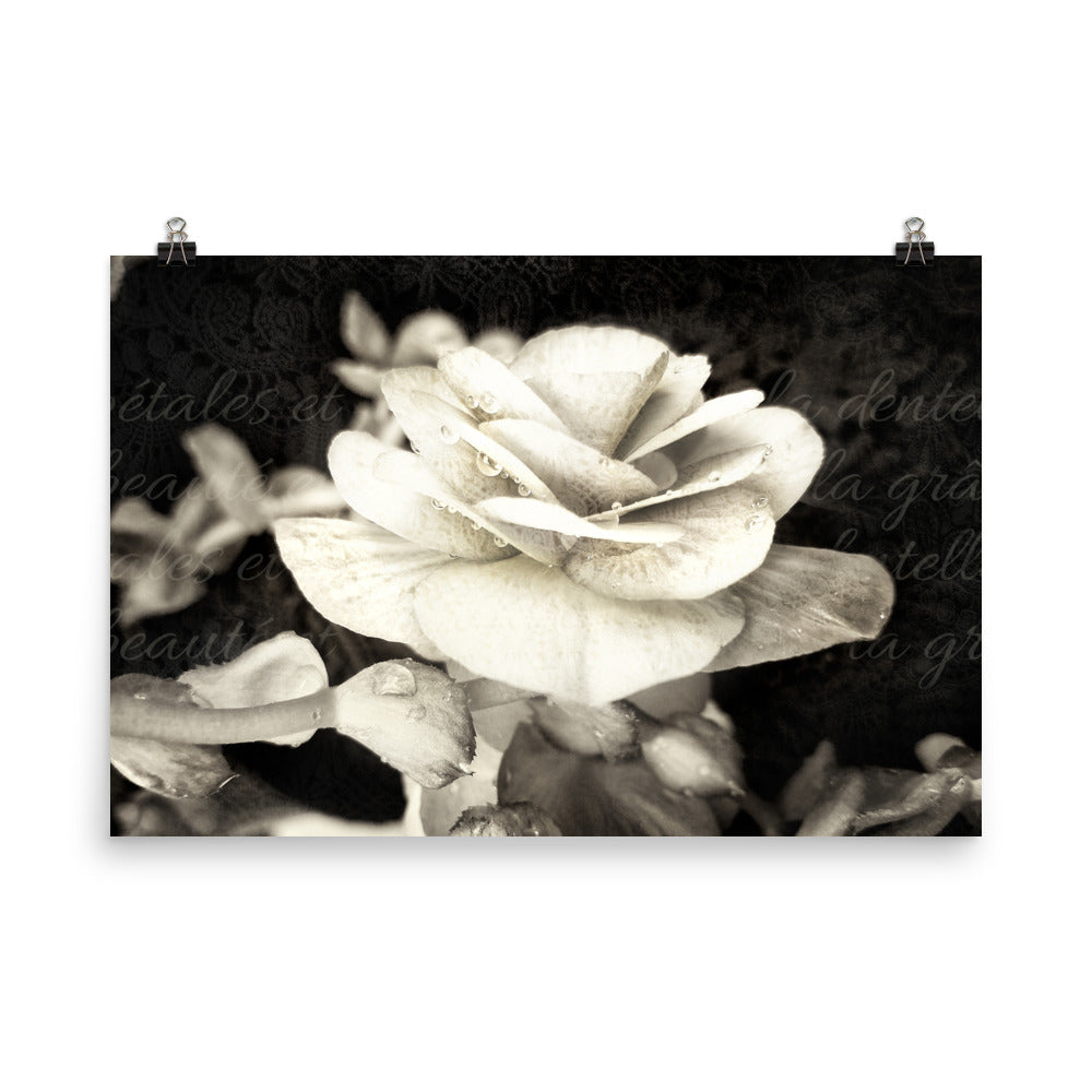 Image of Petals and Lace mixed media sepia tone floral art print on 24 inch by 36 inch premium luster photo paper by Jessica St. Clair