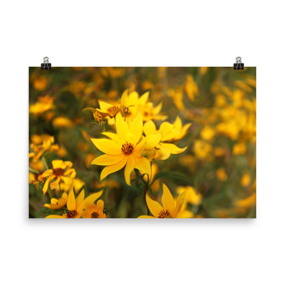 Image of Wildflower Waltz floral art print on 24" x 36" premium luster photo paper by Jessica St. Clair