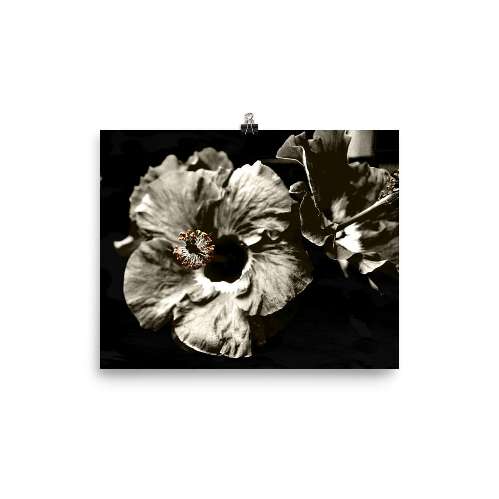 Image of Bohemian Night photographic art print on 8 inch by 10 inch premium luster photo paper by Jessica St. Clair featuring warm sepia tone hibiscus flowers