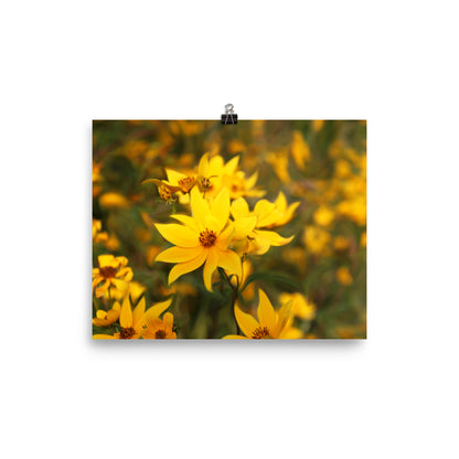 Image of Wildflower Waltz floral art print on 8" x 10" premium luster photo paper by Jessica St. Clair